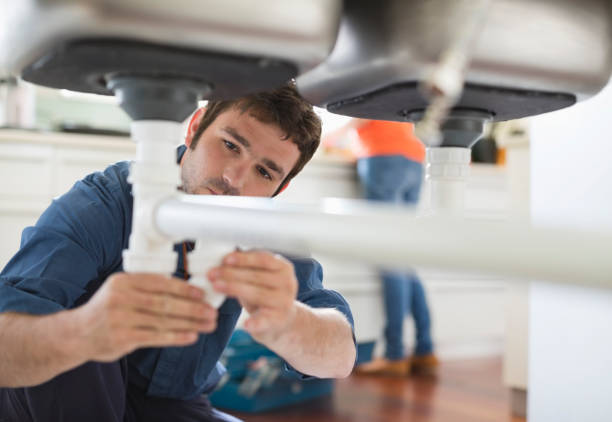 Best Drain Cleaning Services  in Venice, IL