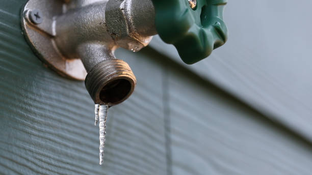 Best Best Plumbers Near Me  in Venice, IL