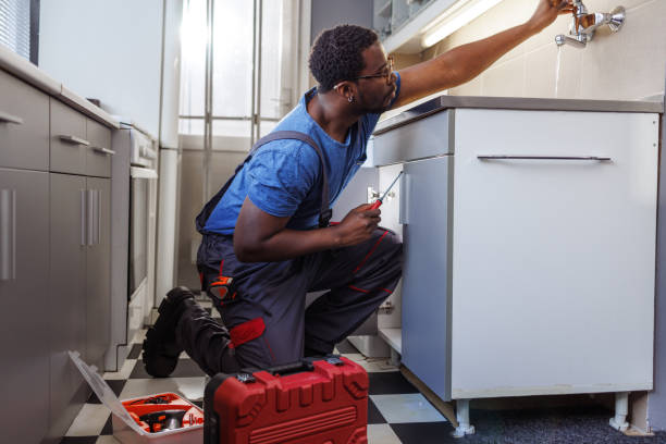 Best Plumbing Inspection Services  in Venice, IL